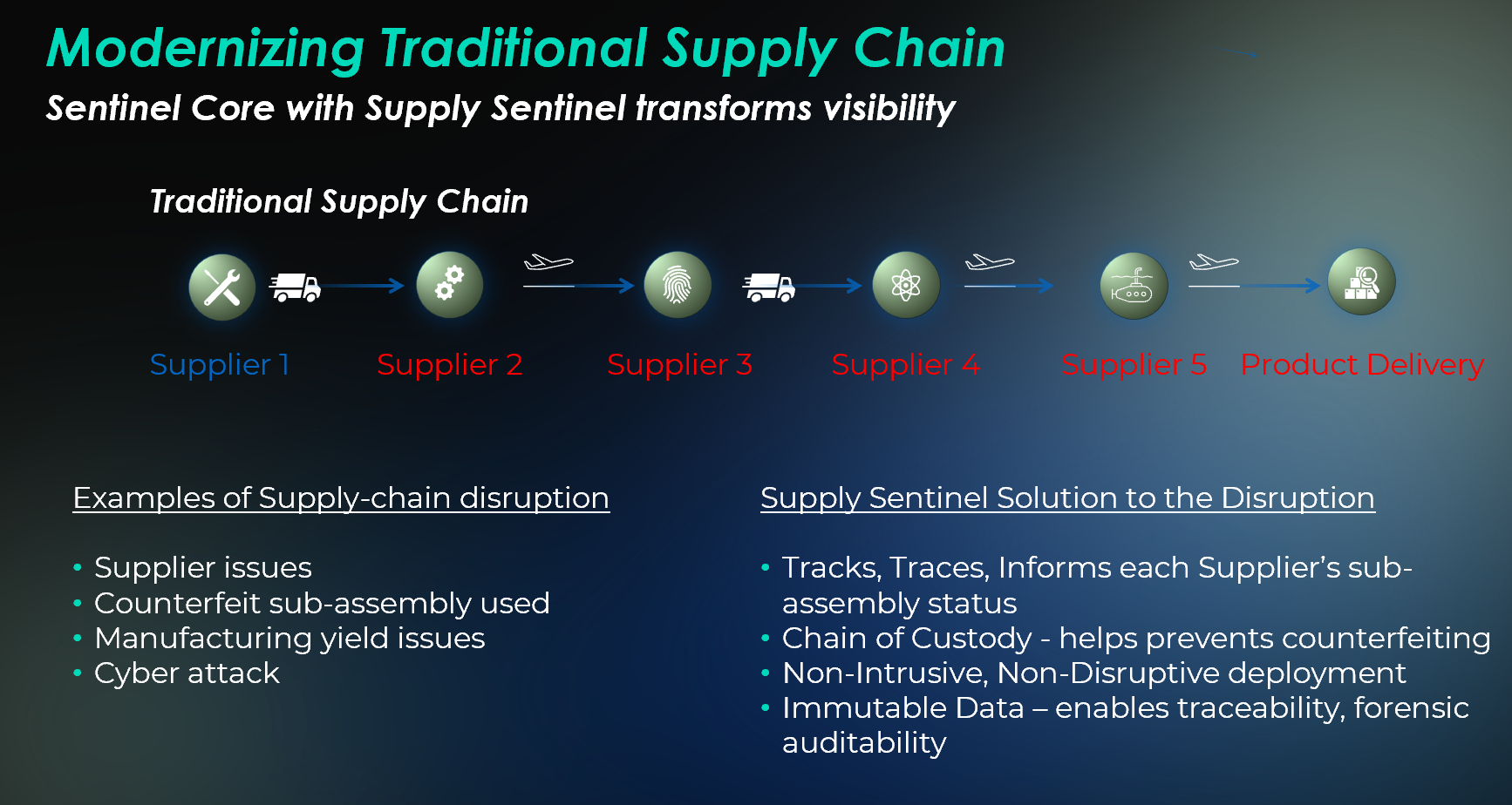 Supply Sentinel Overview